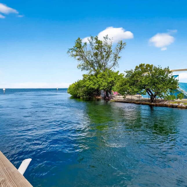 19-web-or-mls-DSCF1598