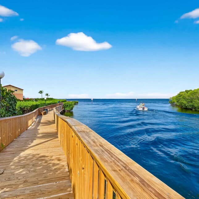 20-web-or-mls-DSCF1603